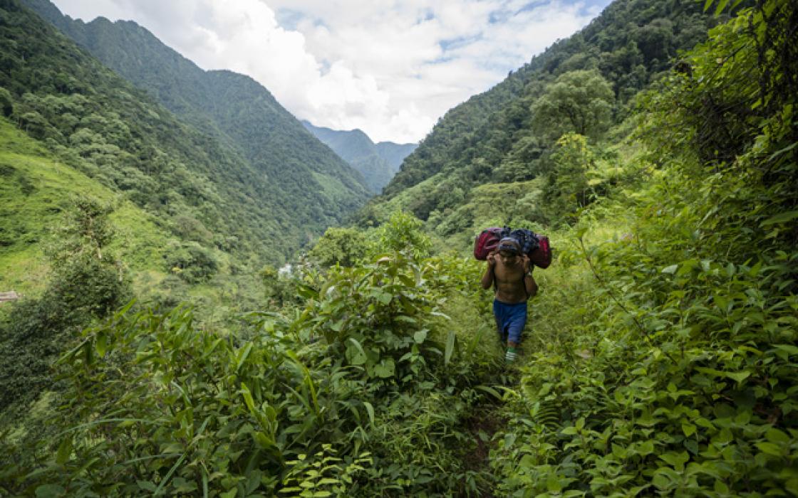 Arakan Mountains Northern Triangle Forests IM10 One Earth